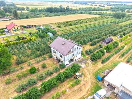 Dom 280 m2 z dochodowym sadem i chłodniami