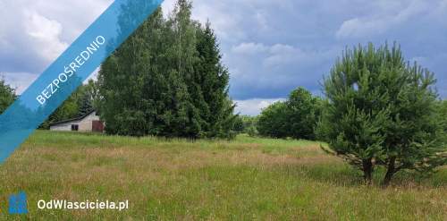 Sprzedam siedlisko 4000 m2 Cisza i spokój, dojazd z Warszawy...