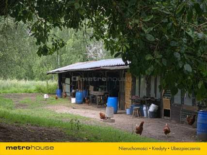 Dochodowa agroturystyka NOWOGRÓDEK