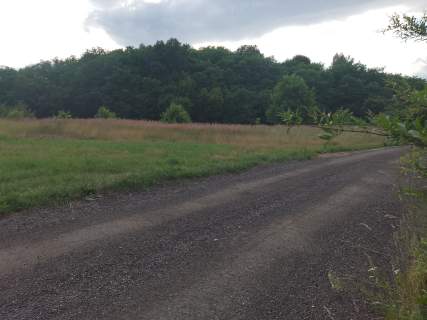 Działka z WZ bezterminową, natura, spokój szybkie centrum