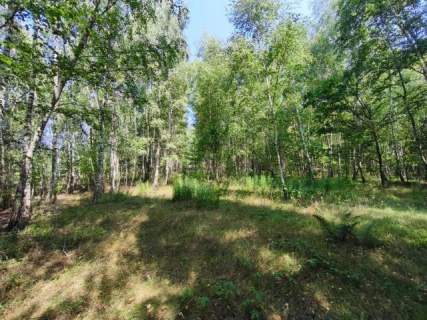 Działka 3000 m2 w otoczeniu zieleni Marianek, gmina Gorzkowice...