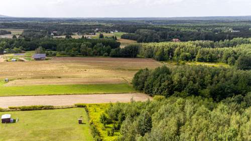 Działka leśna Łęki Dolne - gm. Pilzno 