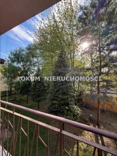 M-3 z balkonem I piętro centrum Rybnika