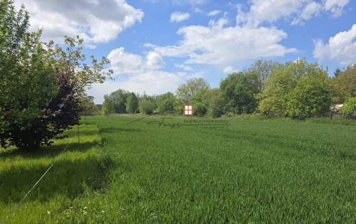 Ostrów,działka rekreacyjna