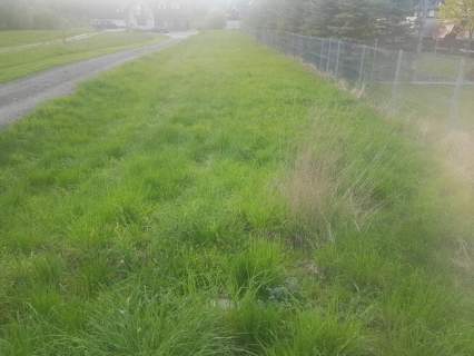 sprzedaż działka 1400 m2 szaflary budowlana termy 350k