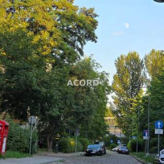 Saska Kępa magiczna lokalizacja