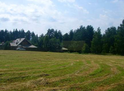 Linia brzegowa, ok.39 000PUM/PUU