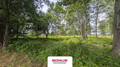 Działka budowlano-usługowa z linią brzegową