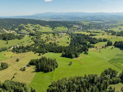 Działka rolno-leśna Obidowa