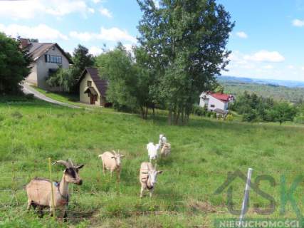 Działka budowlana 1992 m2 Koniaków - Ochodzita, piękne widoki
