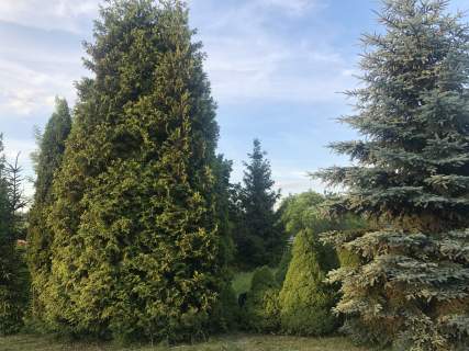 ROD rekreacyjna w Białymstoku ok 300m prywatnie