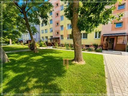 Wysoki parter 60m2 3 pokoje Centrum