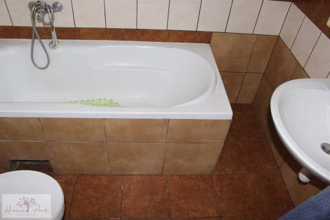 Dom do wynajęcia, 39 m2, Aleksandrów Łódzki