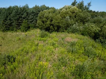 Ustawna, zielona działka budowlana-1535m2 - Janik