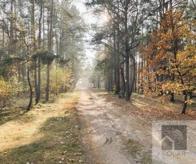 Atrakcyjna działka budowlana las, warunki zabudowy
