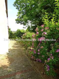 Dompod agroturystykę, oferta dla rolnika, Ścinawa