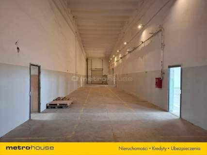 Wynajem hali w Toruniu o powierzchni 1518,4 m2.