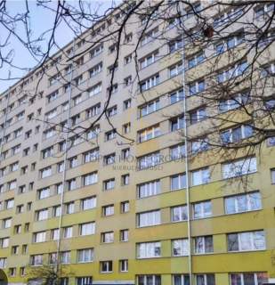 Lux rozkład 2 pokoje Magnolia Legnicka