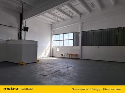 Wynajem hali w Toruniu o powierzchni 1518,4 m2.