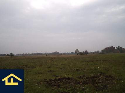 Działka w Całowaniu