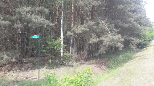 Posiadłość, Inwestycja - 6625 m / 5 działek /