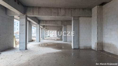 Lokal użytkowy 220,52 m2, Wędrowna/Kwitnąca