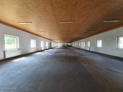 Magazyn do wynajęcia, 735 m2, Wąwelnica