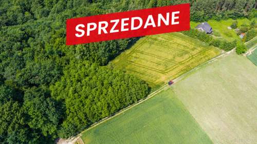 Na sprzedaż działka 79 arów- Domosławice