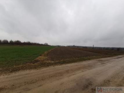 Działka na sprzedaż, 10040 m2, Gręzówka-Kolonia