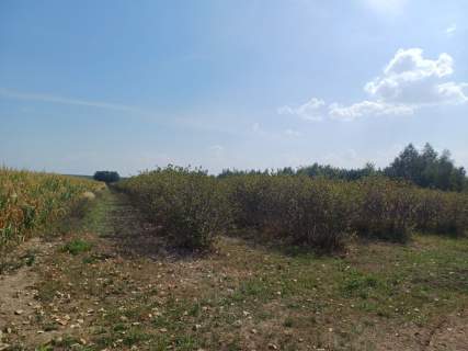 Działka na sprzedaż 18 600m2
