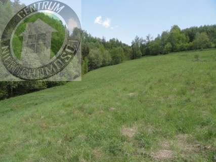 Działka rolna na sprzedaż, 6800 m2, Ochotnica Dolna