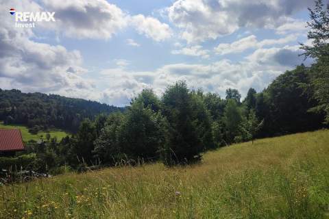 Laliki - działka budowlana w rekreacyjnej okolicy