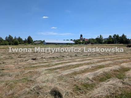 Działki budowlane - Trzebnice koło Chocianowa