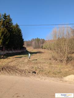 Działka budowlana MPZP w Klonowie, gm. Łaczna, spokojna okolica