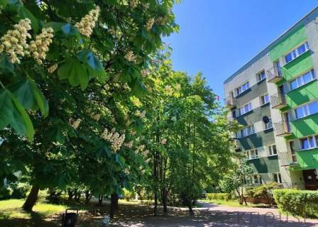 3-pokojowe mieszkanie na Ochocie