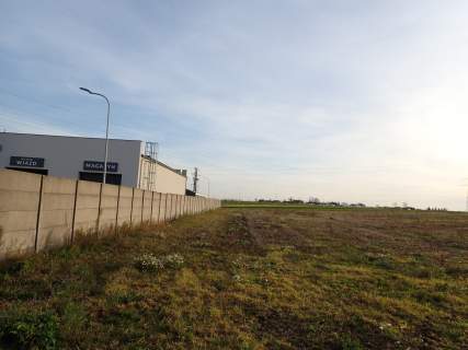 Sprzedam atrakcyjną działkę Widziszewo, MN,AG,PROD