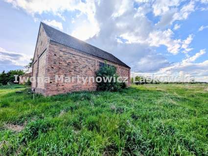 Siedlisko - 1,18 ha działka, Boraszyn, Gmina Wołów