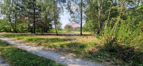 Działka z potencjałem budowlanym 1426 m - Bielicha k. Radomia