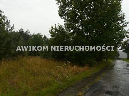 Działka budowlana na sprzedaż, 5561 m2, Skierniewice