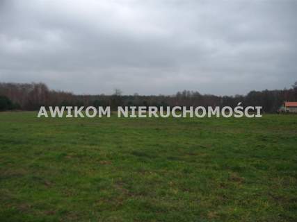 Działka budowlana na sprzedaż, 2250 m2, Budy-Grzybek