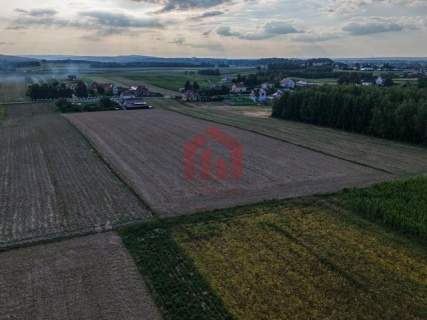 Działki siedliskowe, 2 od Sędziszów Młp, Full MEDIA 