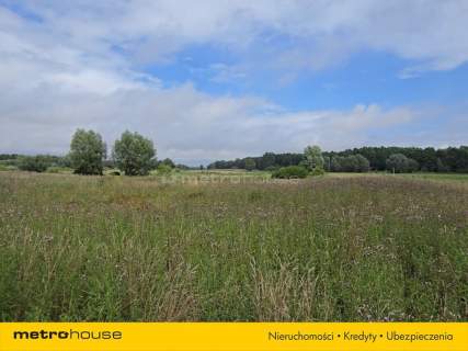 1,59 ha nad Nogatem Twoje miejsce na Żuławach