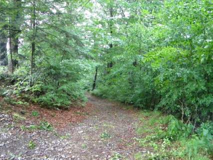 Działka budowlana na sprzedaż, 1600 m2, Brenna