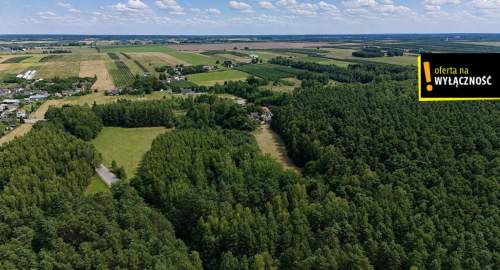 3 Działki budowlane w lesie Korytnica koło Chańczy