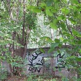 Działka inwestycyjna ze starym młynem