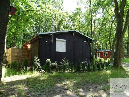 Całoroczny domek nad stawami Wilczyn Leśny