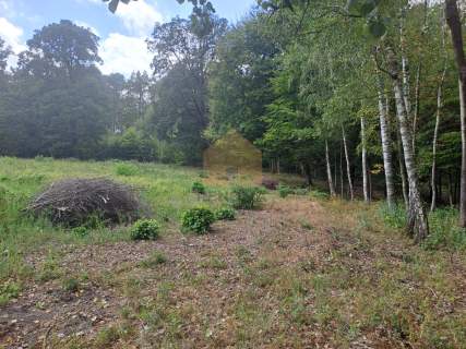 Działka budowlana/usługowa w zaciszu lasu 3350m2
