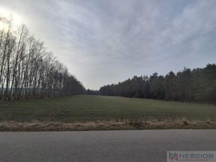 Dwie działki budowlane po 1000 m w Boroszkowie