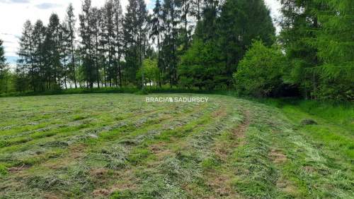 Działka budowlana 8900 m2 Poręba Żegoty