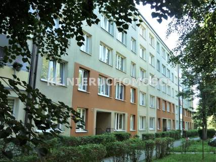 Mieszkanie do wynajęcia, 37,1 m2, Ruda Śląska